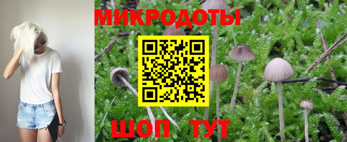 Псилоцибиновые грибы MAGIC MUSHROOMS Реутов